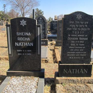 N - Vanne :: Surnames - N