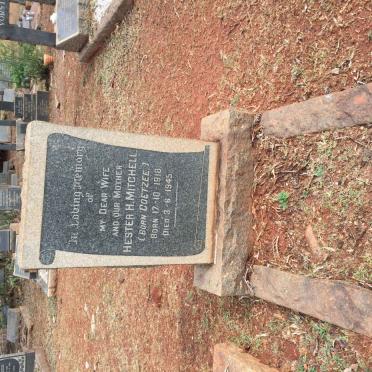 MITCHELL Hester H. nee COETZEE 1918-1945