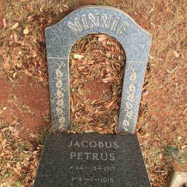 MINNIE Jacobus Petrus 1917-1918