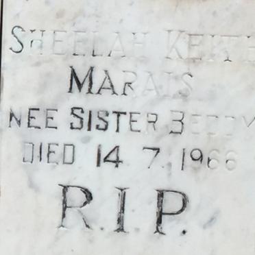 MARAIS Sheelah Keith nee BEDDY -1966