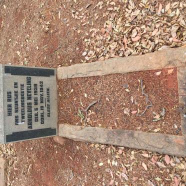 Ne - Surnames starting with the letters Ne