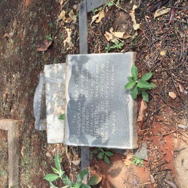 STEYN Pieter Marthinus 1879-1946