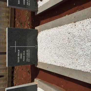 PEACE Anselm Rose 1918-2011