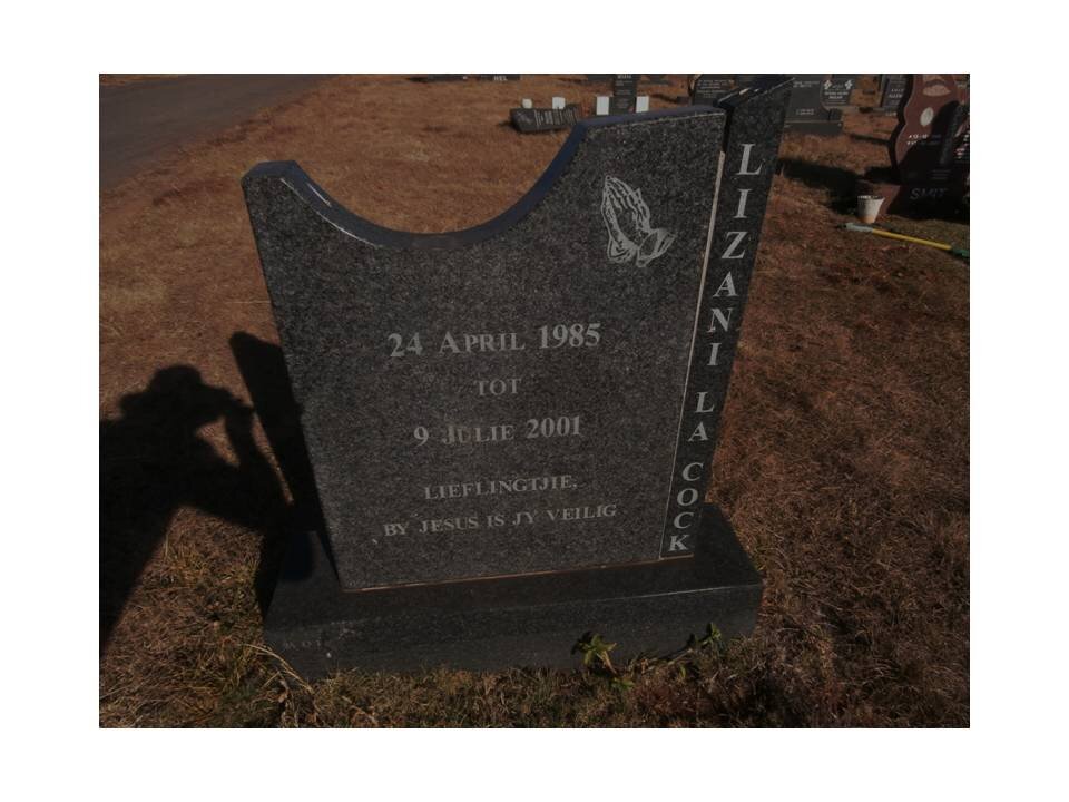 COCK Lizani, la 1985-2001