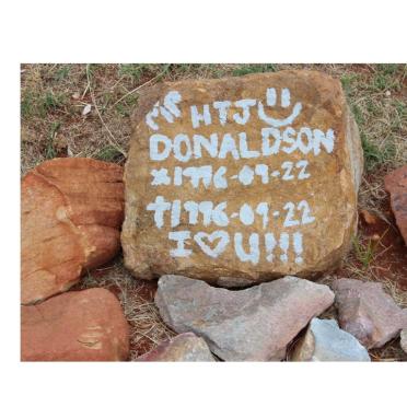 DONALDSON H.T.J. 1996-1996