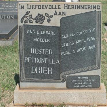 Dr - Surnames starting with the letters Dr 