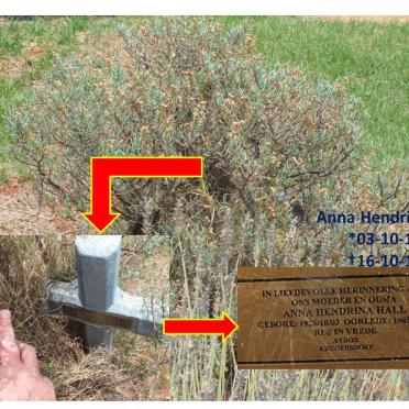 HALL Anna Hendrina 1926-1985