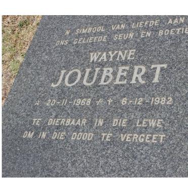 JOUBERT Wayne 1968-1982