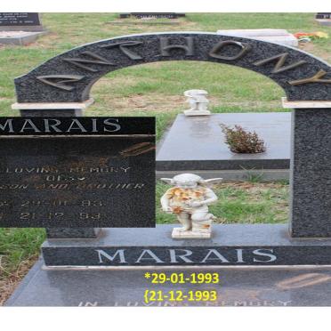 MARAIS Anthony 1993-1993