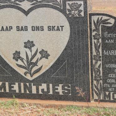 MEINTJES Phillipus Cornelius 1930-1957 :: NAUDE Maria Johanna formerly MEINTJES nee SPIES 1893-1966