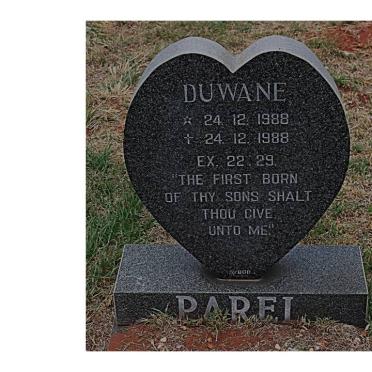 PAREL Duwane 1988-1988