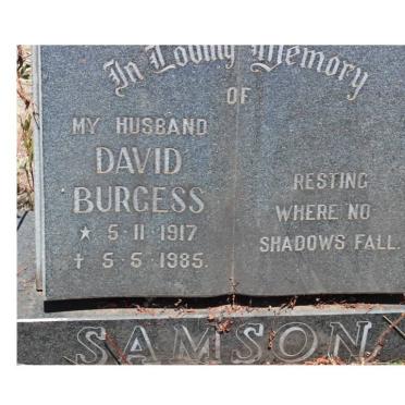 SAMSON David Burgess 1917-1985