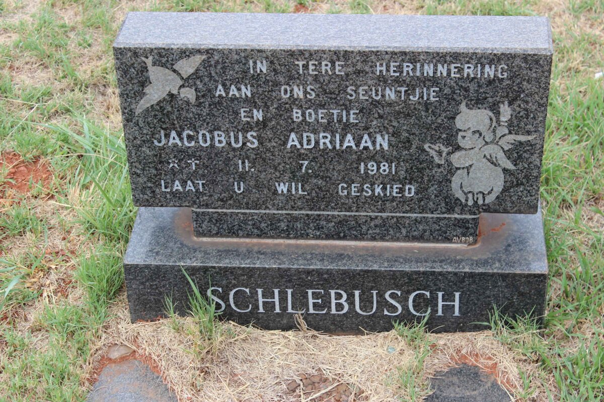 SCHLEBUSCH Jacobus Adriaan 1981-1981