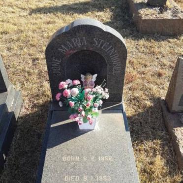 STEINHOBEL June Maria 1952-1953