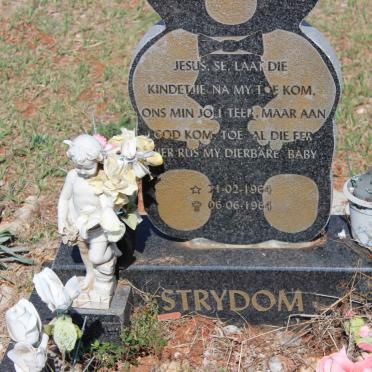STRYDOM Baby 1964-1964