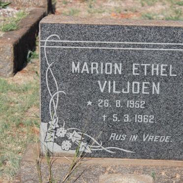 VILJOEN Marion Ethel 1952-1962