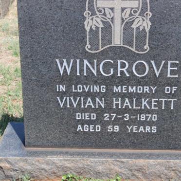 WINGROVE Vivian Halkett -1970