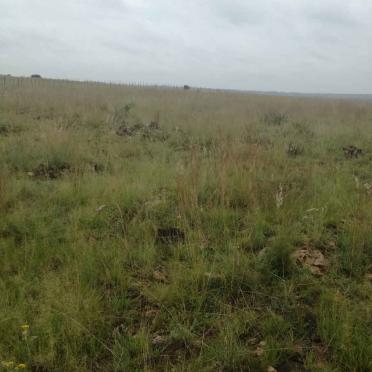 1. Overview / Oorsig