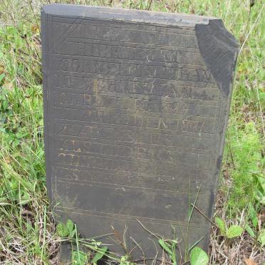 OOSTHUIZEN Cornelius Johannes Christiaan 1894-1895