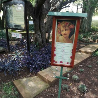 3. Overview / Oorsig