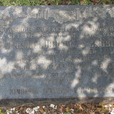 Gauteng, KRUGERSDORP district, Kromdraai, Kromdraai 520_3, Sundowner farm cemetery