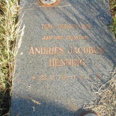 HENNING Andries Jacobus 1976-1977