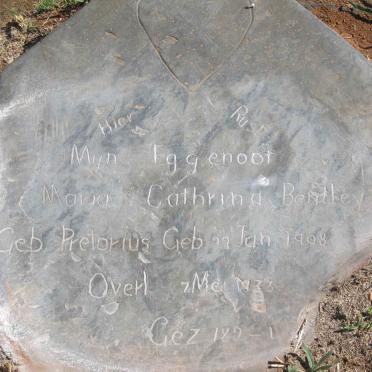 BENTLEY Maria Cathrina nee PRETORIUS 1908-1933