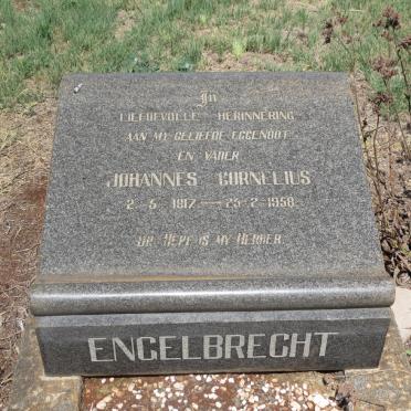 Gauteng, NIGEL district, Witkop 330 IR, Witkop 25, farm cemetery_3