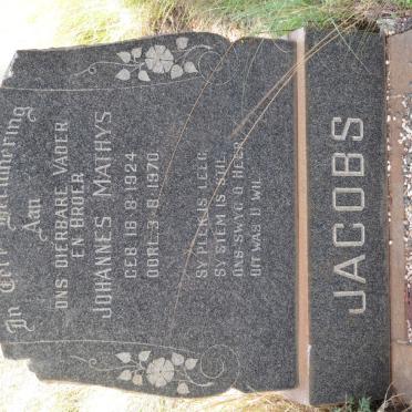 Gauteng, NIGEL district, Rietpoort 193 IR, farm cemetery_1