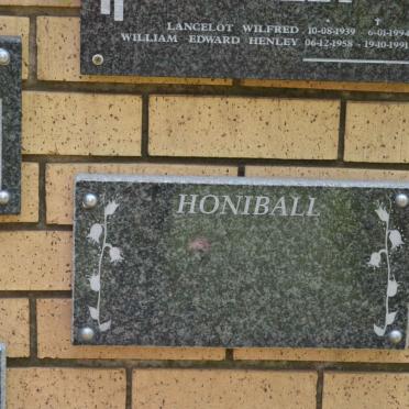 HONIBALL