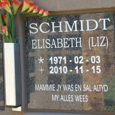 SCHMIDT Elizabeth 1971-2010