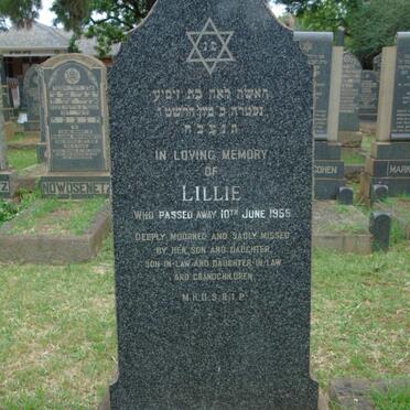HART Lillie -1955