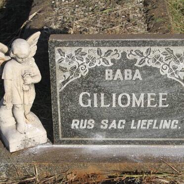 GILIOMEE 