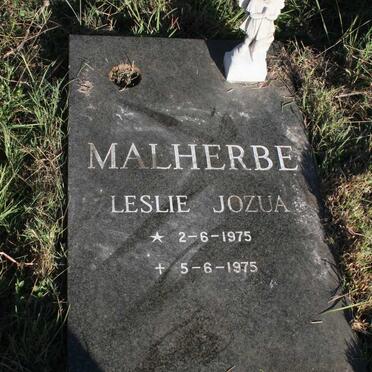 MALHERBE Leslie Jozua 1975-1975