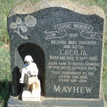 MAYHEW Cecilia 1955-1955