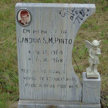PINTO Candida S.M. 1960-1968