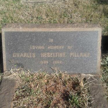 PILLANS Charles Heseltine 18?9--1932