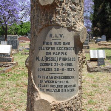 PRINSLOO M.J. 1901-1937