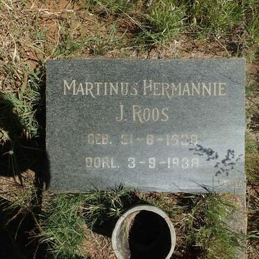 ROOS Martinus Hermannie J. 1938-1938