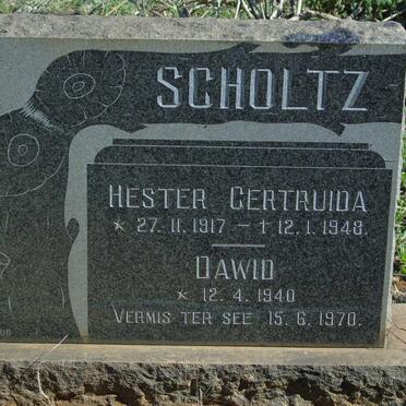 SCHOLTZ Hester Gertruida 1917-1948 :: SCHOLTZ Dawid 1940-1970