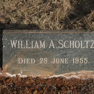 SCHOLTZ Willem A. -1955