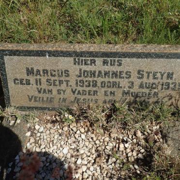 STEYN Marcus Johannes 1938-1939