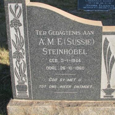 STEINHOBEL A.M.E. 1944-1960