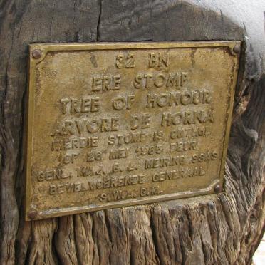 2. Plaque