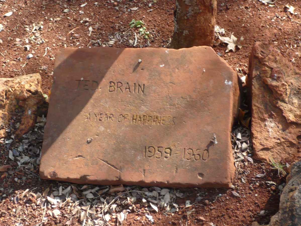 BRAIN Ted 1959-1960