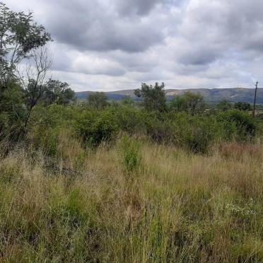 Gauteng, PRETORIA district, Vissershoek 435_2, farm cemetery