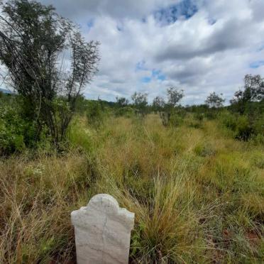 3. Oorsig / Overview