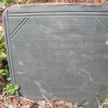 BEER Susana S., de 1880-1884