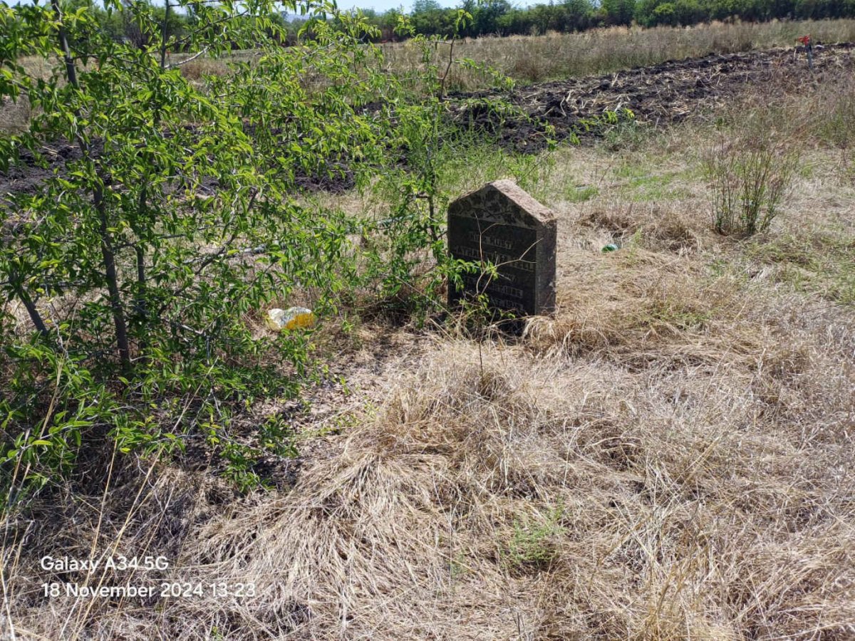 1. Overview / Oorsig