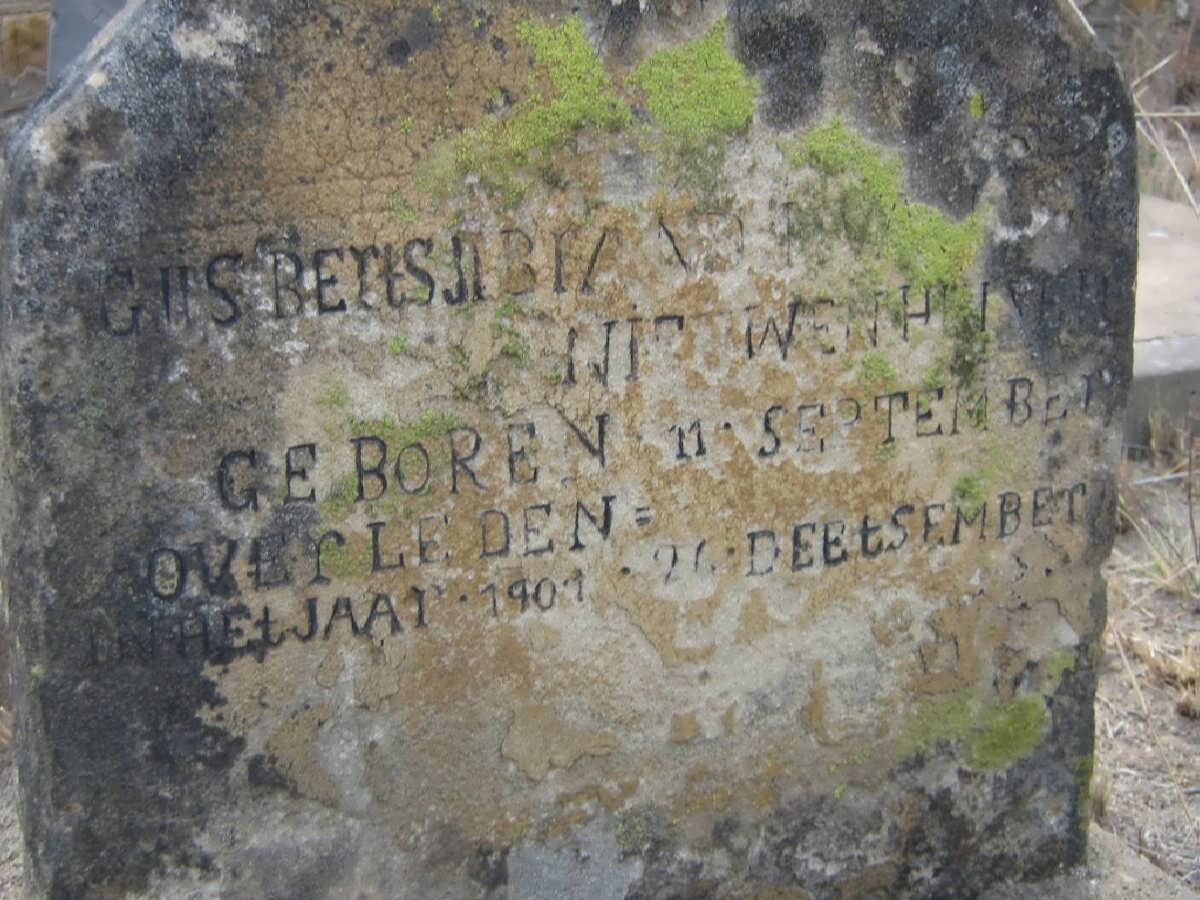 NIEUWENHUIZEN Gusberts Abram 1901-1901